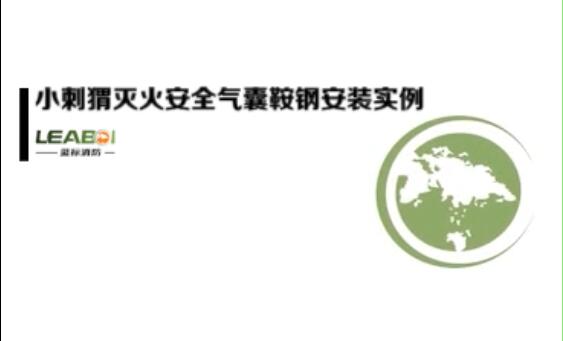 滅火安全氣囊鞍鋼安裝實(shí)例